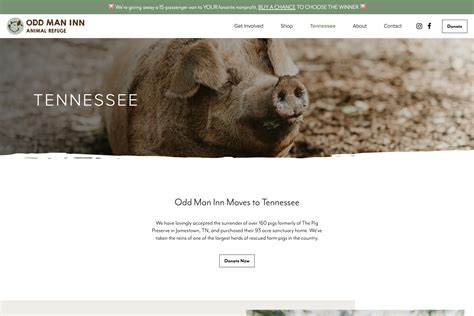 odd man inn|odd man inn tennessee.